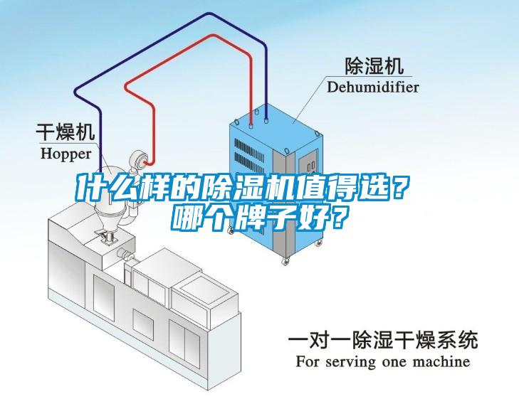什么樣的除濕機值得選？ 哪個牌子好？