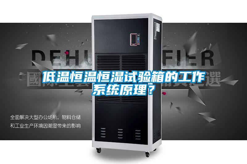 低溫恒溫恒濕試驗箱的工作系統原理？