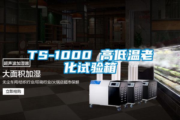 TS-1000 高低溫老化試驗箱