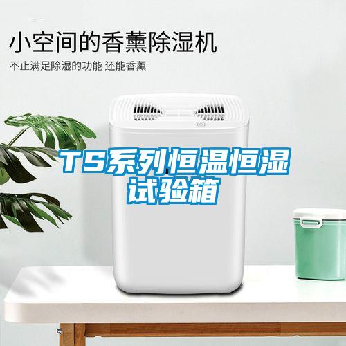 TS系列恒溫恒濕試驗箱