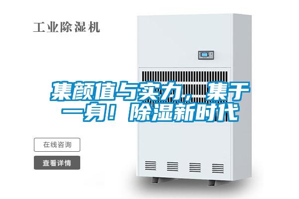 集顏值與實力，集于一身！除濕新時代