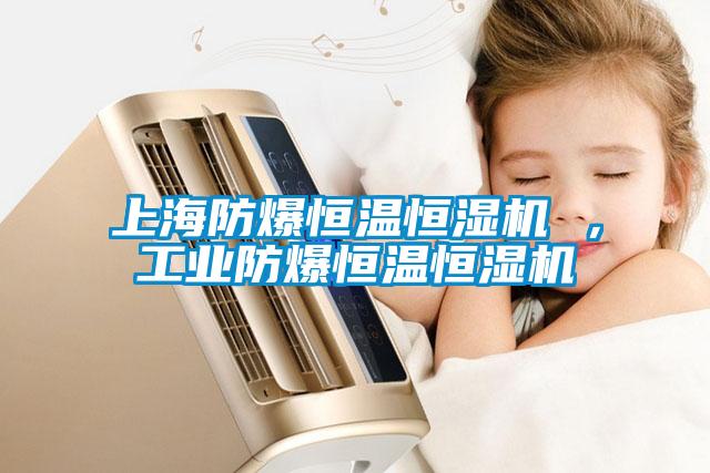 上海防爆恒溫恒濕機 ，工業(yè)防爆恒溫恒濕機