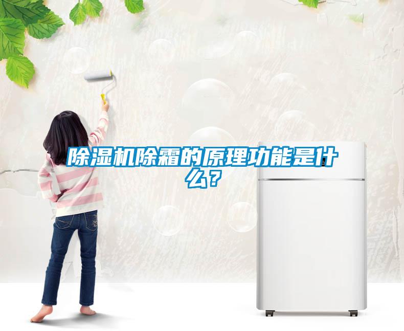 除濕機除霜的原理功能是什么？