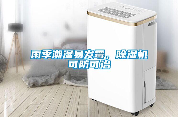 雨季潮濕易發霉，除濕機可防可治