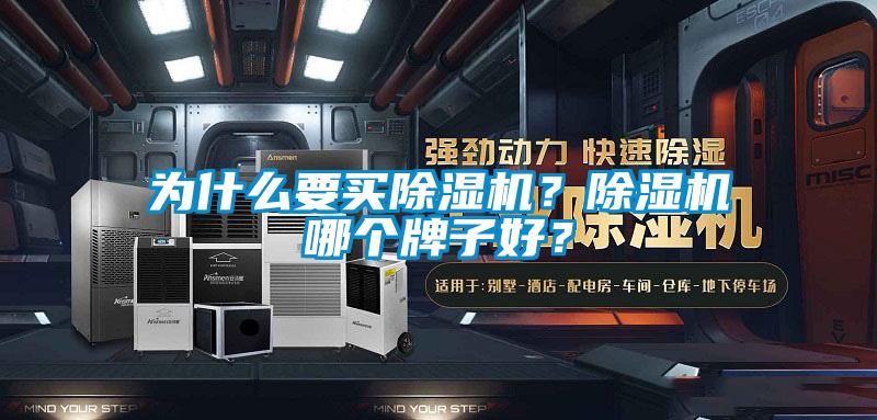 為什么要買除濕機？除濕機哪個牌子好？