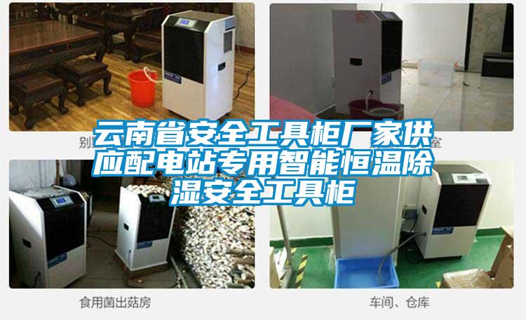 云南省安全工具柜廠家供應配電站專用智能恒溫除濕安全工具柜