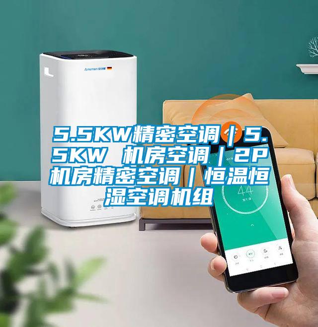 5.5KW精密空調｜5.5KW 機房空調｜2P機房精密空調｜恒溫恒濕空調機組