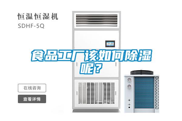 食品工廠該如何除濕呢？