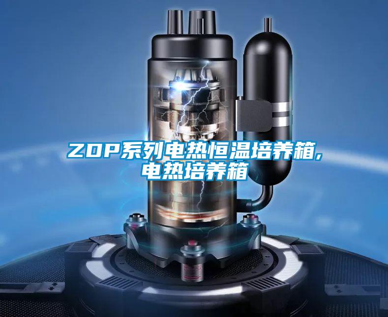 ZDP系列電熱恒溫培養箱,電熱培養箱