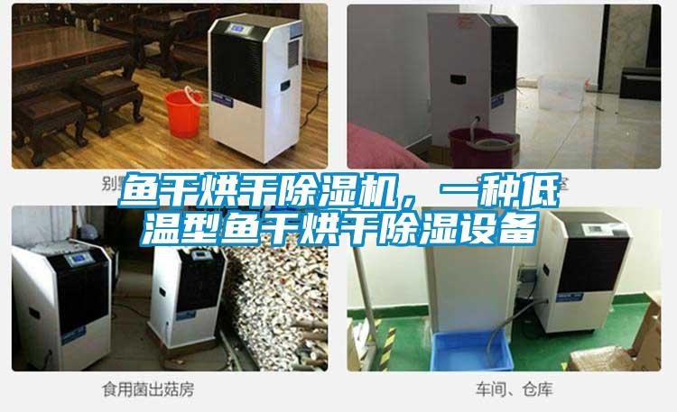 魚干烘干除濕機，一種低溫型魚干烘干除濕設備