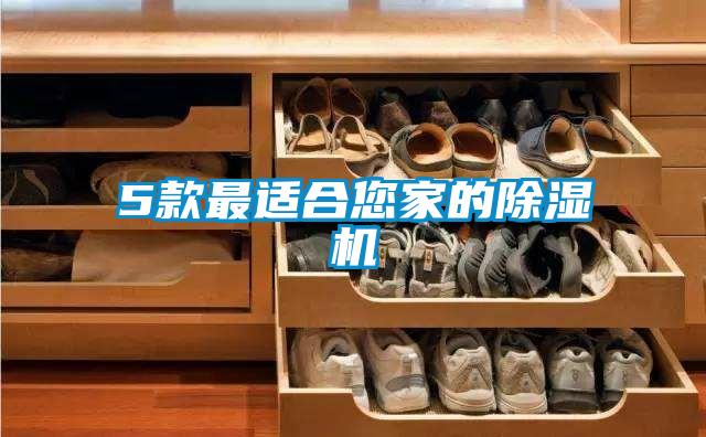 5款最適合您家的除濕機