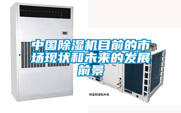 中國除濕機目前的市場現狀和未來的發展前景