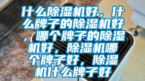 什么除濕機好，什么牌子的除濕機好，哪個牌子的除濕機好，除濕機哪個牌子好，除濕機什么牌子好