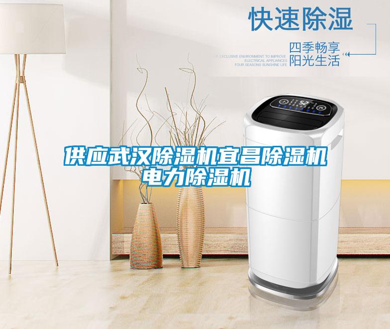 供應(yīng)武漢除濕機宜昌除濕機電力除濕機