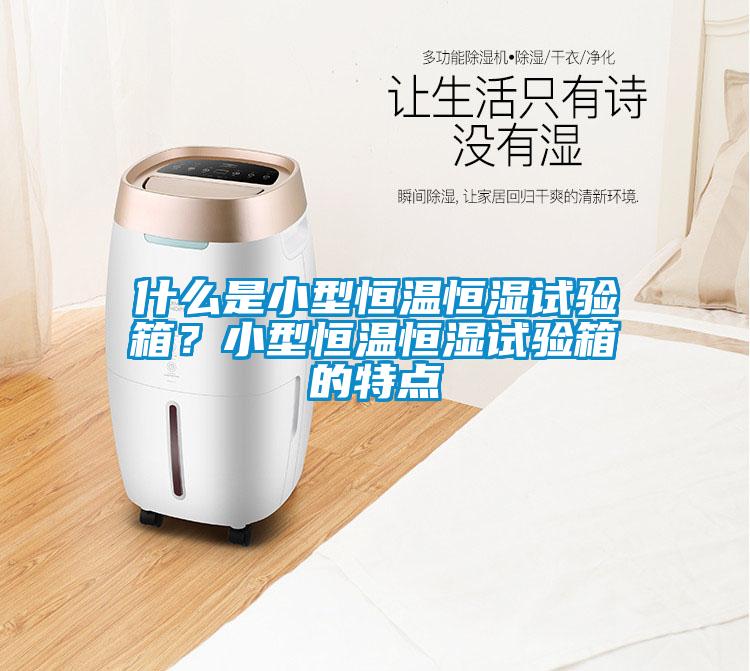什么是小型恒溫恒濕試驗箱？小型恒溫恒濕試驗箱的特點
