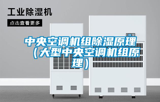 中央空調(diào)機組除濕原理（大型中央空調(diào)機組原理）