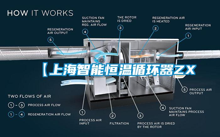 【上海智能恒溫循環器ZX