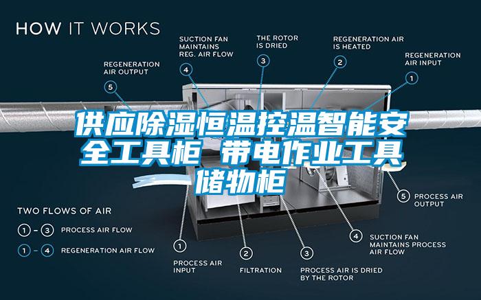 供應除濕恒溫控溫智能安全工具柜 帶電作業工具儲物柜