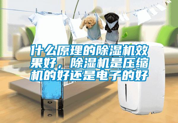 什么原理的除濕機效果好，除濕機是壓縮機的好還是電子的好