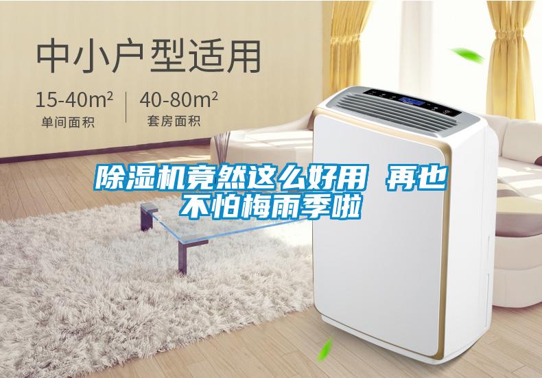 除濕機竟然這么好用 再也不怕梅雨季啦