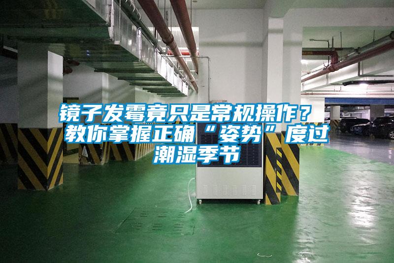 鏡子發霉竟只是常規操作？ 教你掌握正確“姿勢”度過潮濕季節