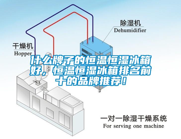 什么牌子的恒溫恒濕冰箱好，恒溫恒濕冰箱排名前十的品牌推薦！