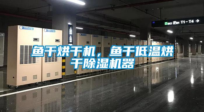 魚干烘干機，魚干低溫烘干除濕機器