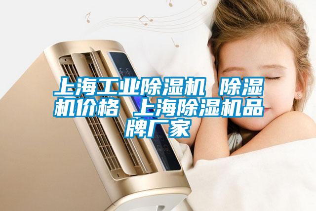 上海工業(yè)除濕機(jī) 除濕機(jī)價格 上海除濕機(jī)品牌廠家