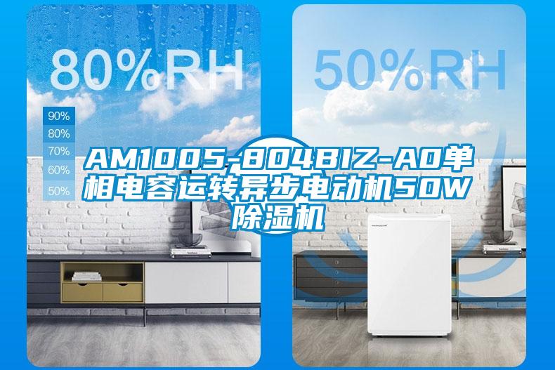 AM1005-804BIZ-A0單相電容運轉異步電動機50W除濕機