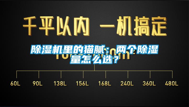 除濕機里的貓膩：兩個除濕量怎么選？