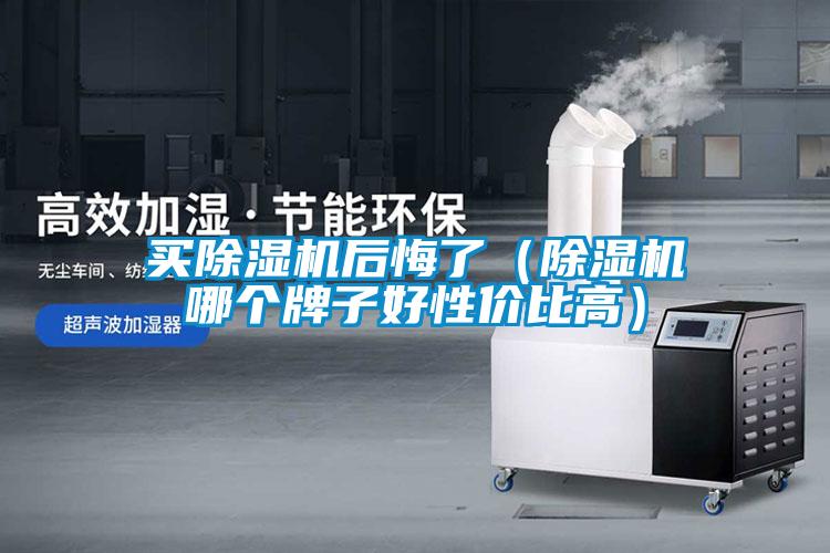 買除濕機后悔了（除濕機哪個牌子好性價比高）