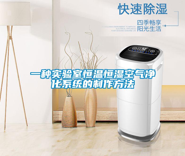 一種實驗室恒溫恒濕空氣凈化系統的制作方法