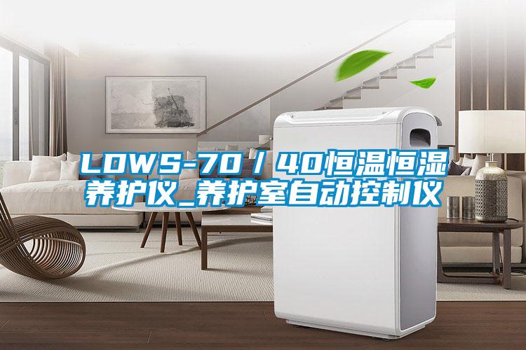 LDWS-70／40恒溫恒濕養(yǎng)護儀_養(yǎng)護室自動控制儀
