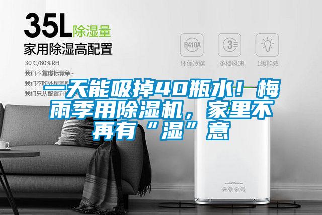 一天能吸掉40瓶水！梅雨季用除濕機，家里不再有“濕”意