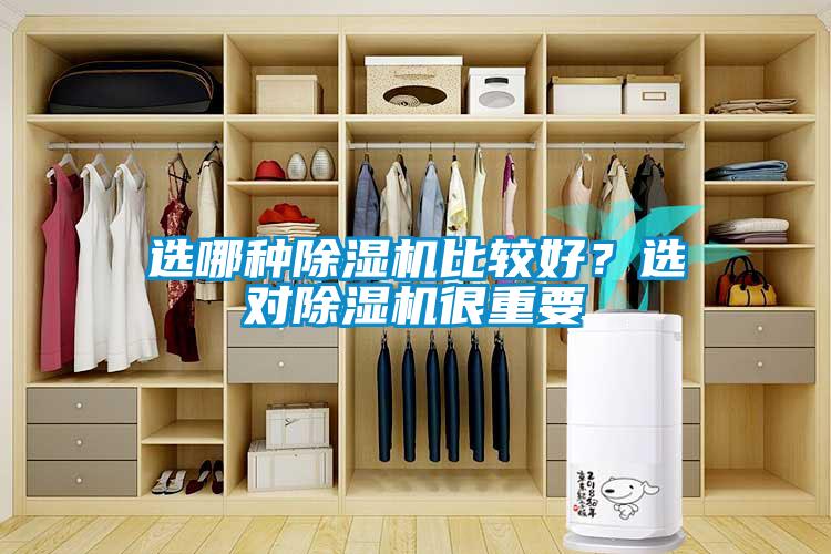 選哪種除濕機比較好？選對除濕機很重要