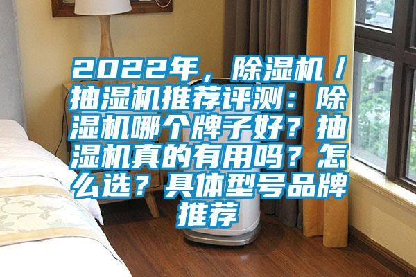 2022年，除濕機(jī)／抽濕機(jī)推薦評測：除濕機(jī)哪個(gè)牌子好？抽濕機(jī)真的有用嗎？怎么選？具體型號品牌推薦