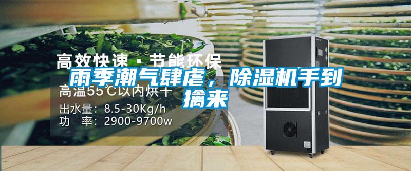 雨季潮氣肆虐，除濕機手到擒來