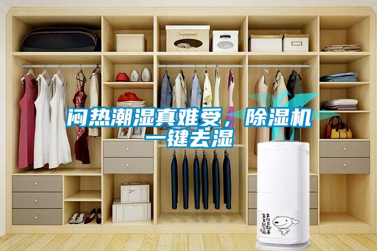 悶熱潮濕真難受，除濕機一鍵去濕