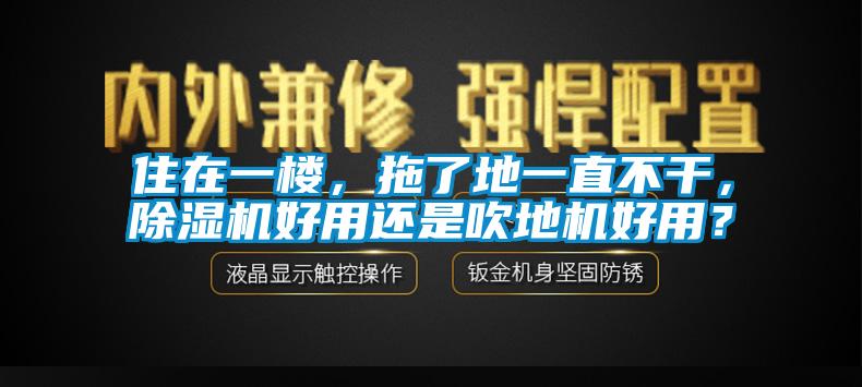 住在一樓，拖了地一直不干，除濕機好用還是吹地機好用？