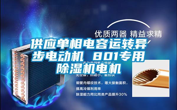 供應單相電容運轉異步電動機 801專用除濕機電機