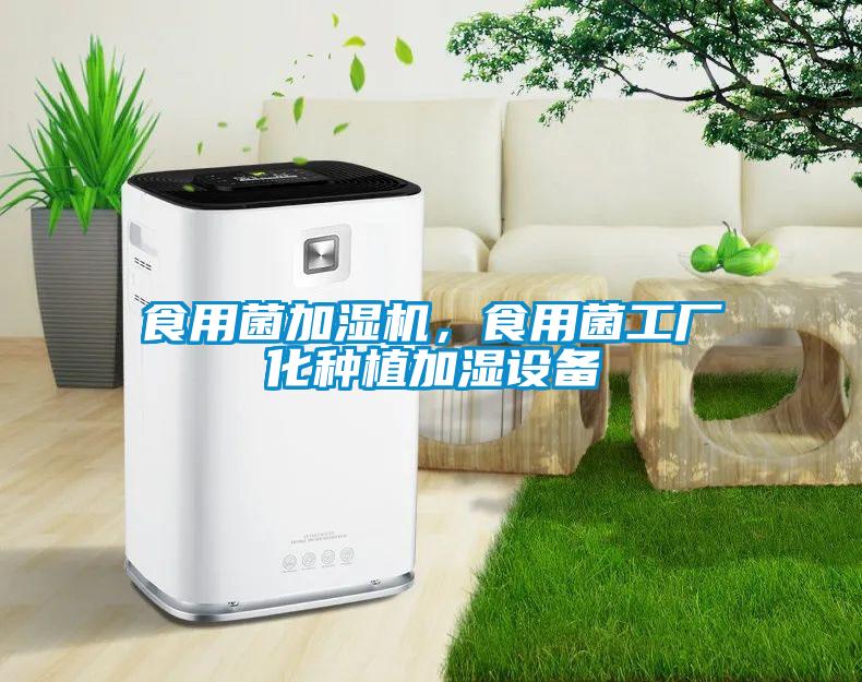 食用菌加濕機，食用菌工廠化種植加濕設備