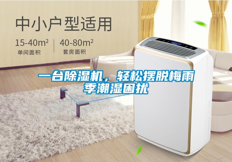 一臺除濕機，輕松擺脫梅雨季潮濕困擾