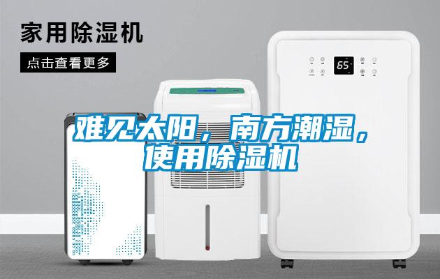 難見太陽，南方潮濕，使用除濕機