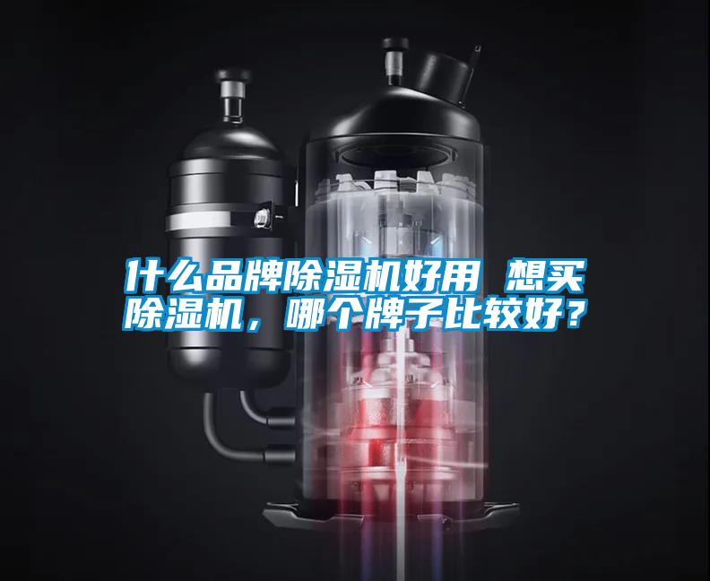 什么品牌除濕機好用 想買除濕機，哪個牌子比較好？