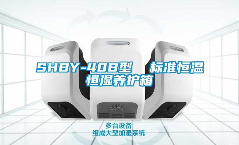 SHBY-40B型  標準恒溫恒濕養護箱