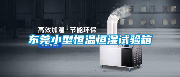 東莞小型恒溫恒濕試驗箱