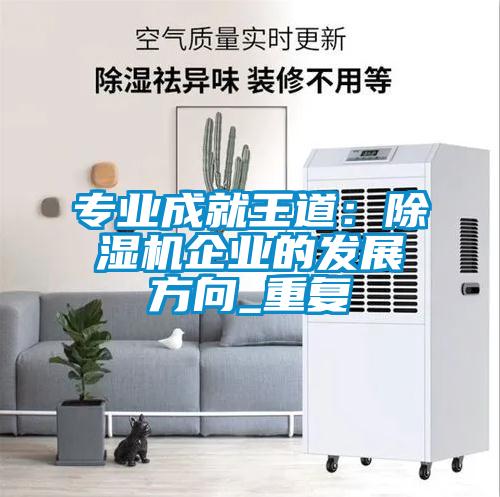 專業(yè)成就王道：除濕機企業(yè)的發(fā)展方向_重復(fù)