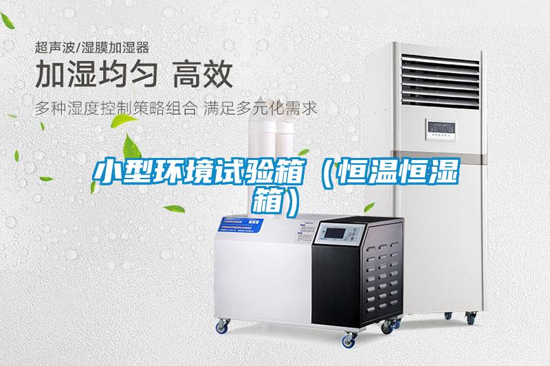 小型環境試驗箱（恒溫恒濕箱）
