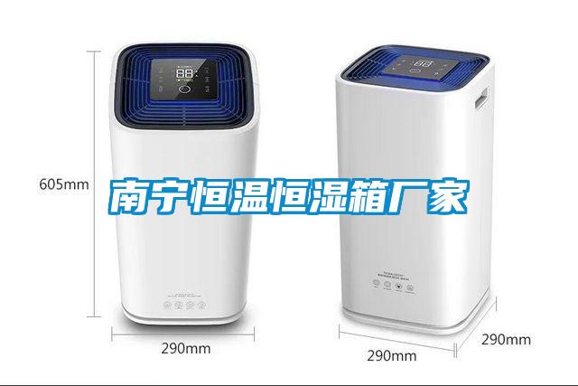 南寧恒溫恒濕箱廠(chǎng)家