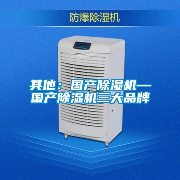 其他：國產除濕機—國產除濕機三大品牌